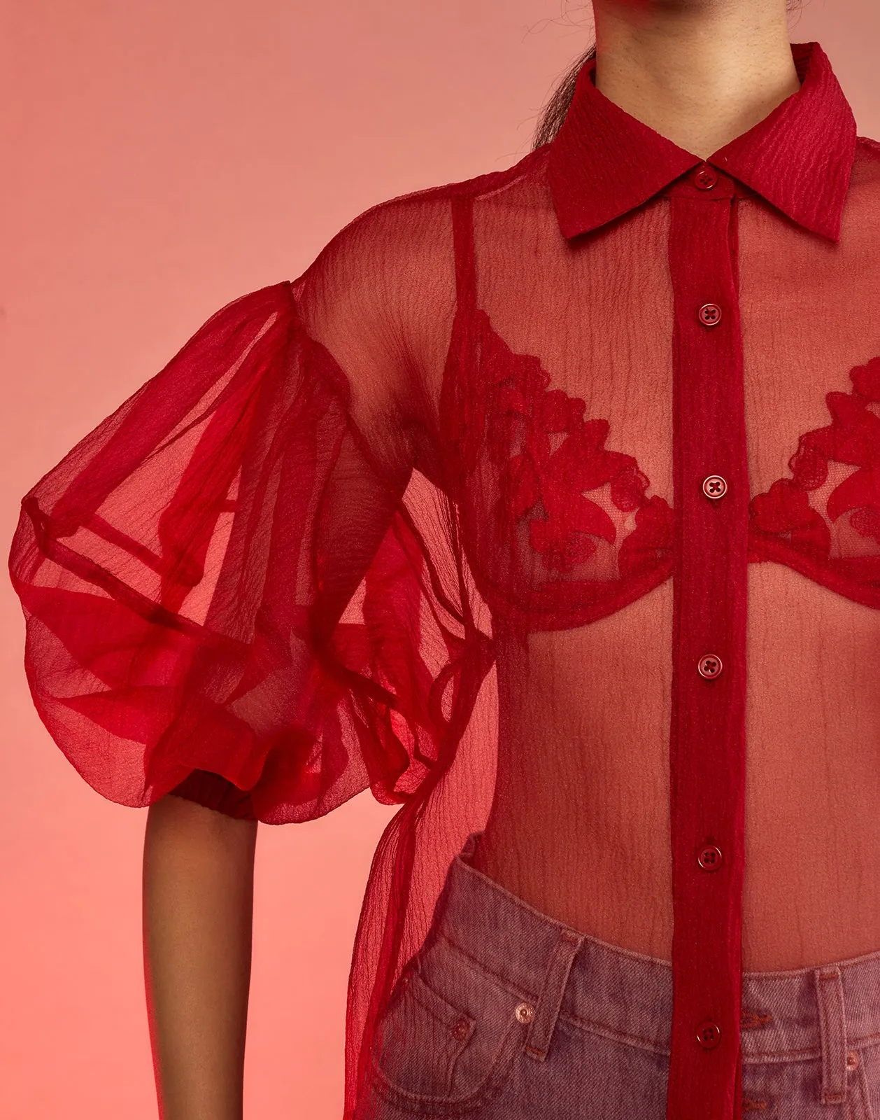 Sheer Bliss Blouse