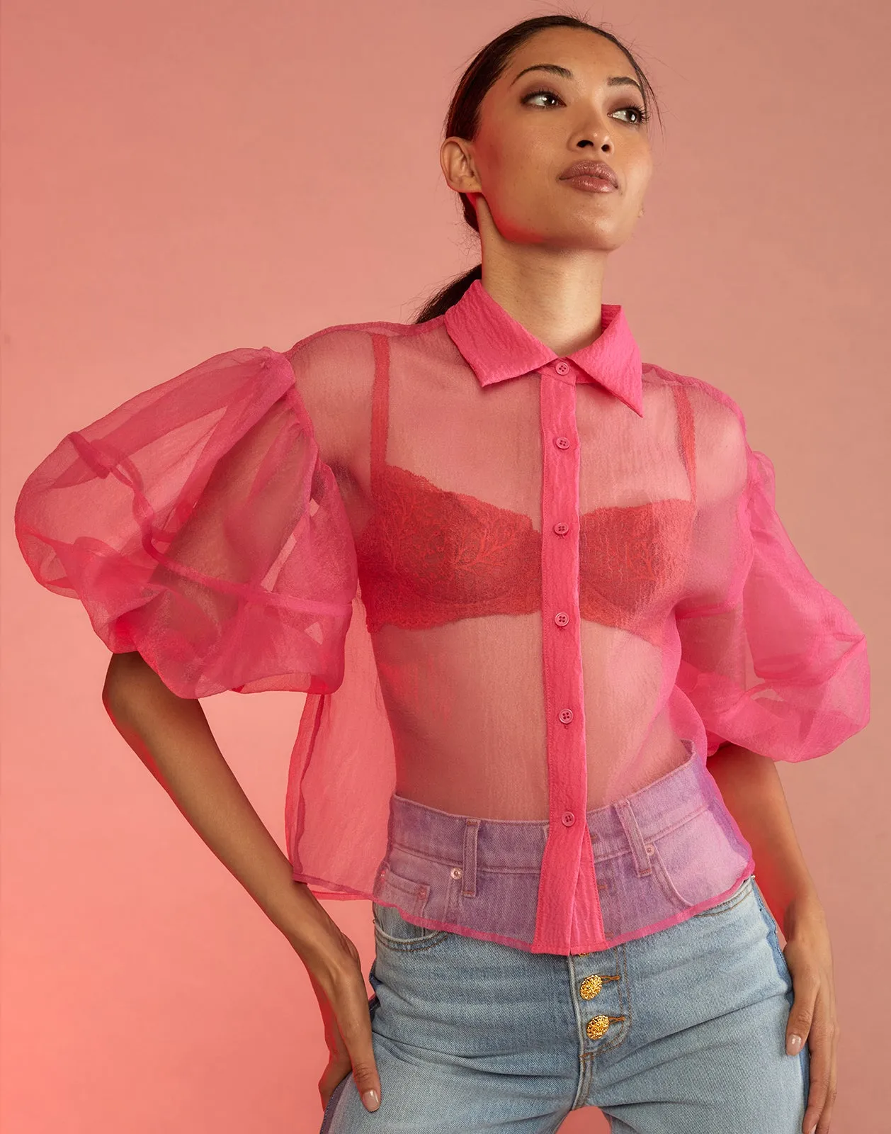 Sheer Bliss Blouse