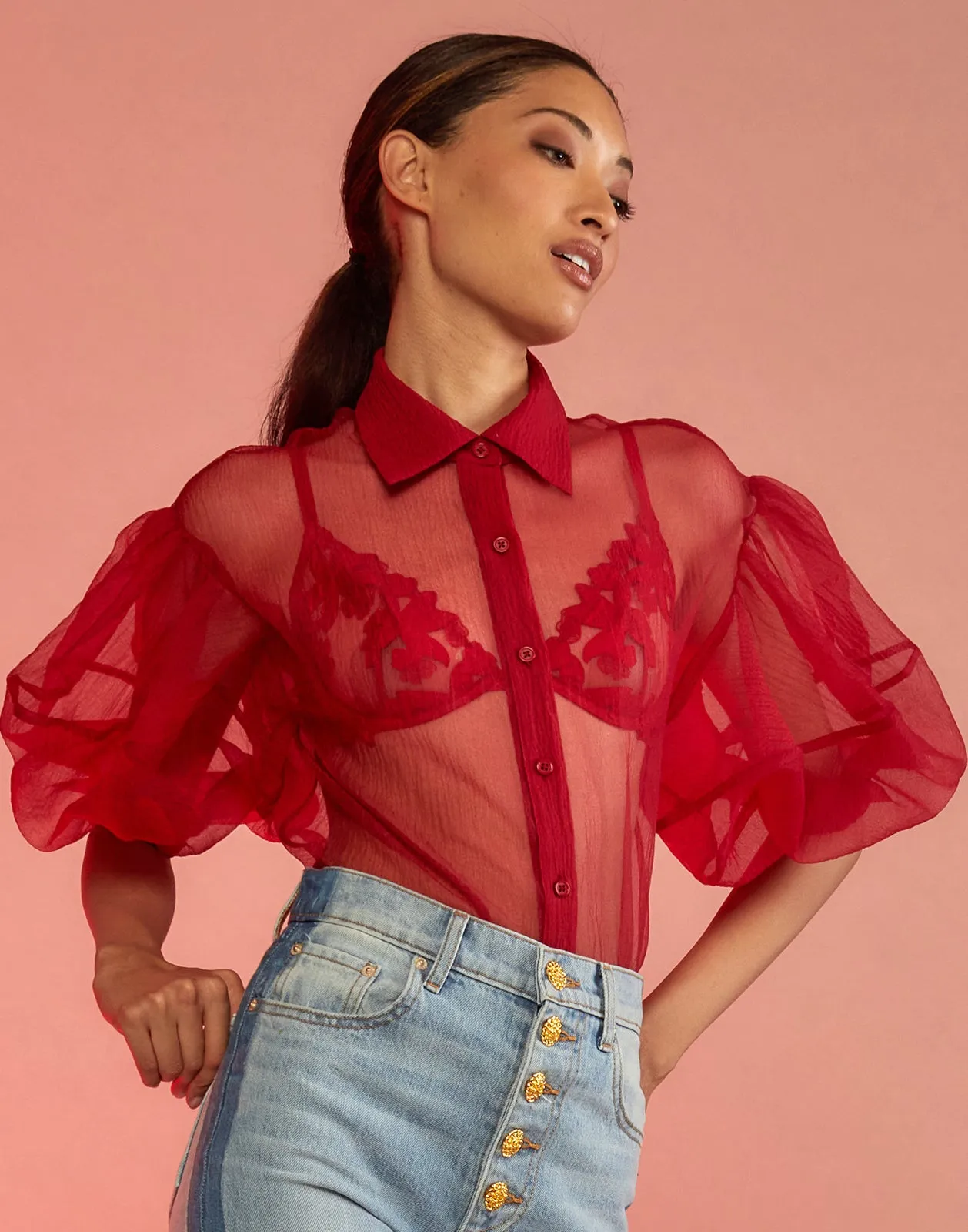 Sheer Bliss Blouse