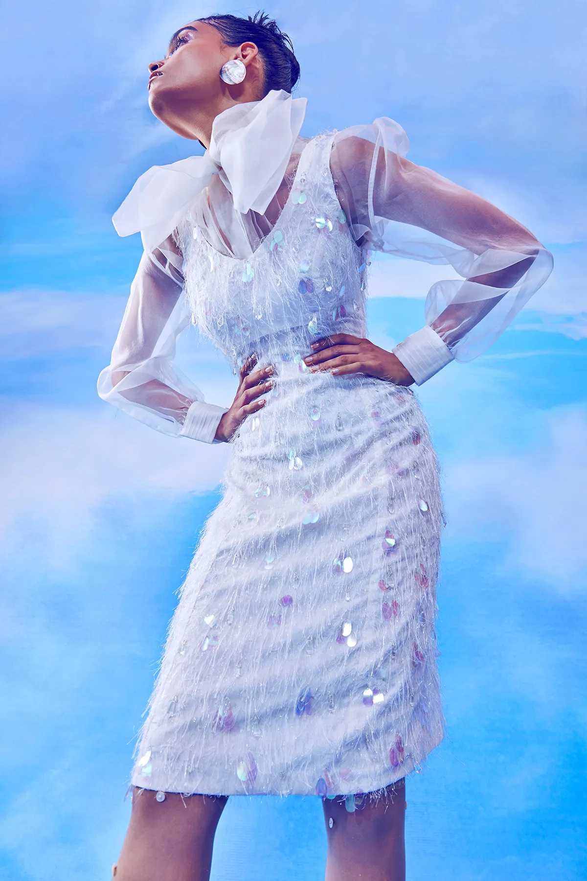 Whisper White Tying Collar Sheer Top