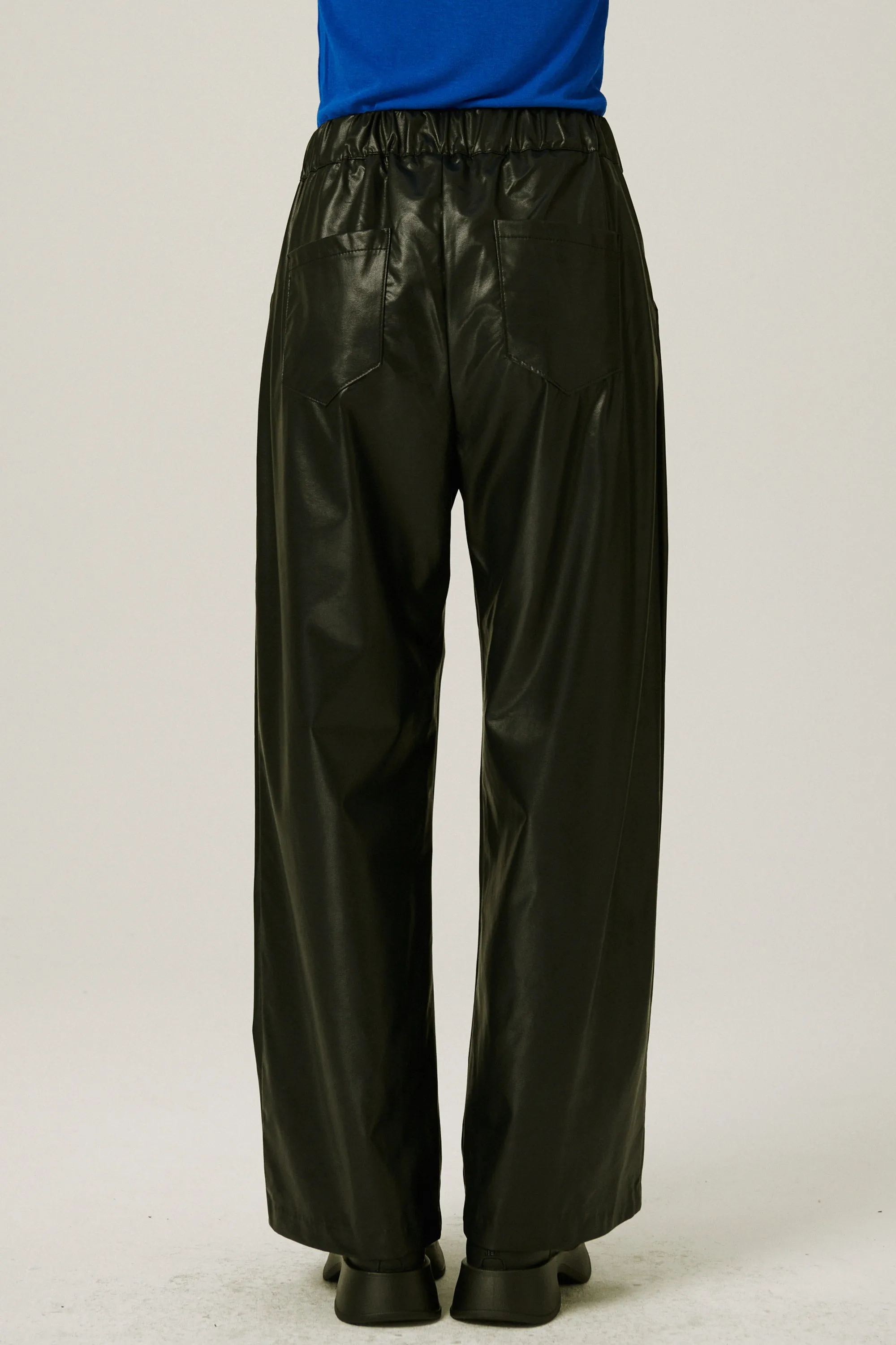 Wilder Pleather Pants