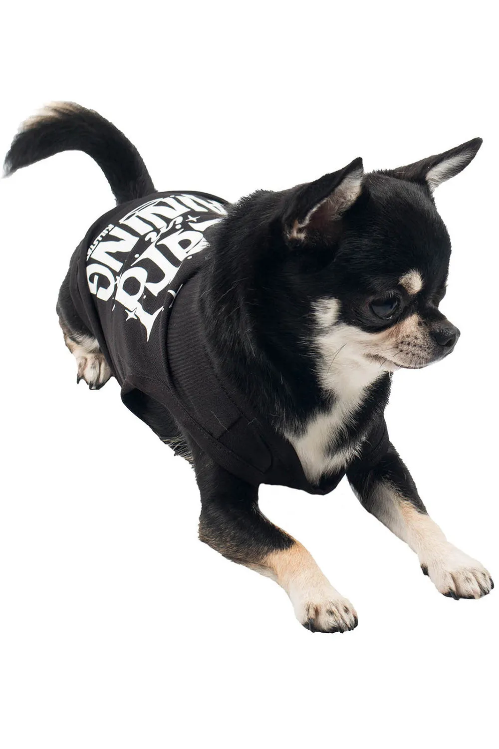 Wizard In Training Pet Vest