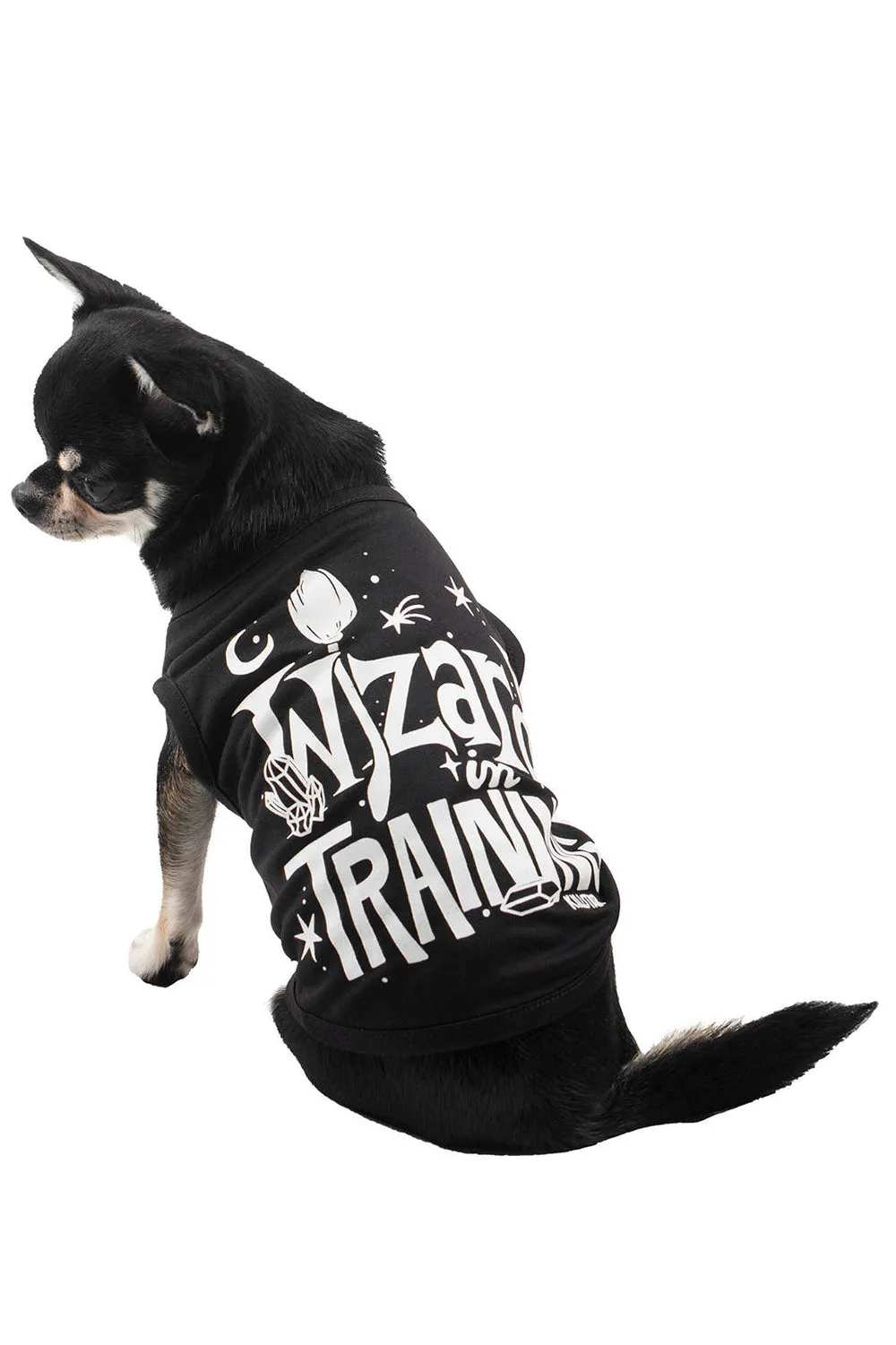 Wizard In Training Pet Vest